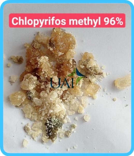 CHLOPYRIFOS METHYL 96% - Công Ty TNHH Hóa Chất Phân Bón Thuốc Bvtv Dubai
